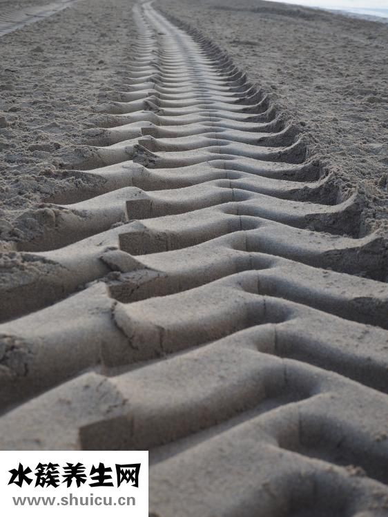 無痕雙眼皮手術(shù)