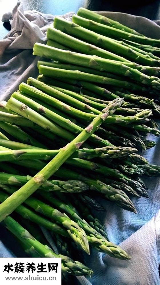 孕婦可以吃蘆筍嗎