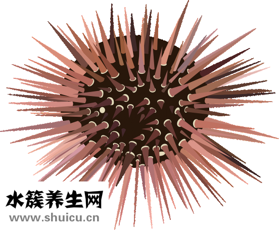 孕婦可以喝酸奶嗎