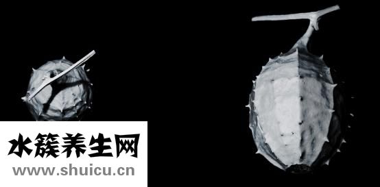 新癀片治療痛風