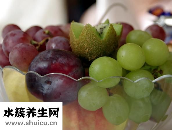 雙孢菇是口蘑嗎