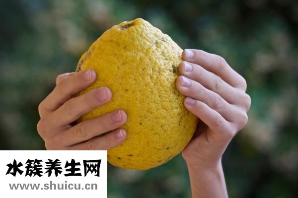 孕婦能吃百合嗎