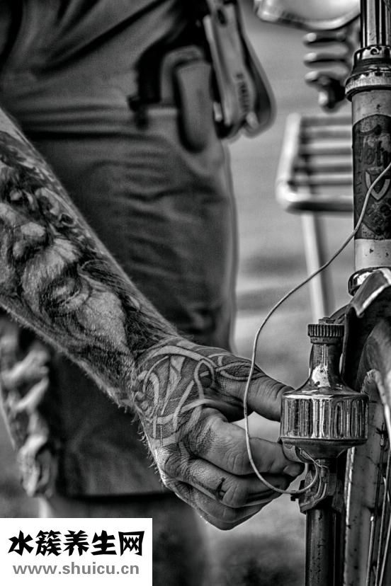 人體器官示意圖