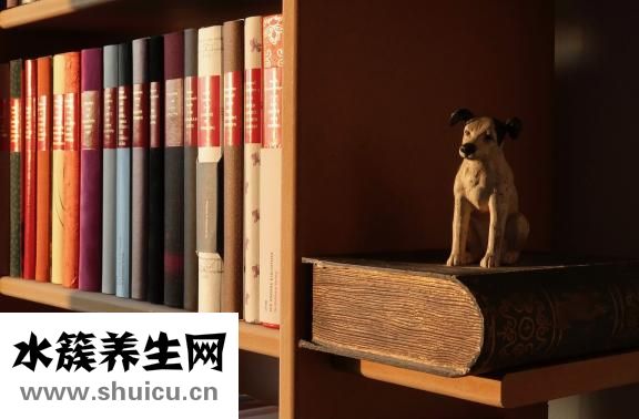 孕婦能吃阿膠糕嗎