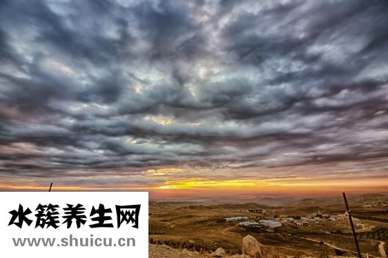 外陰長了一個包