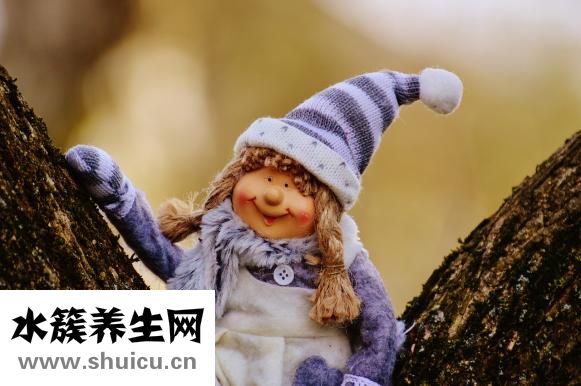 娃娃菜可以生吃嗎