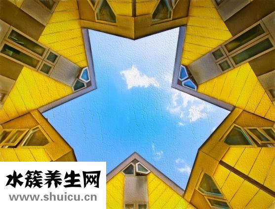 孕婦可以吃豬肝嗎