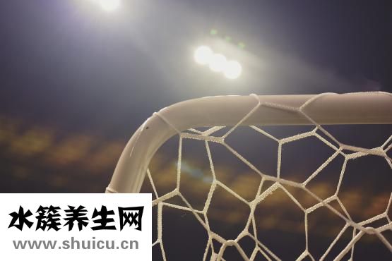 五維賴氨酸口服液