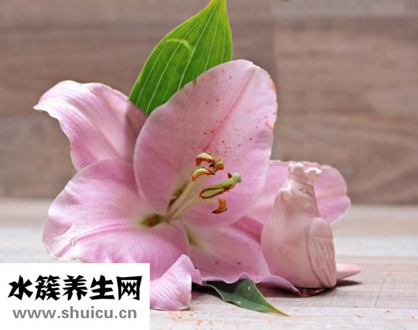 十大最好的腸道藥