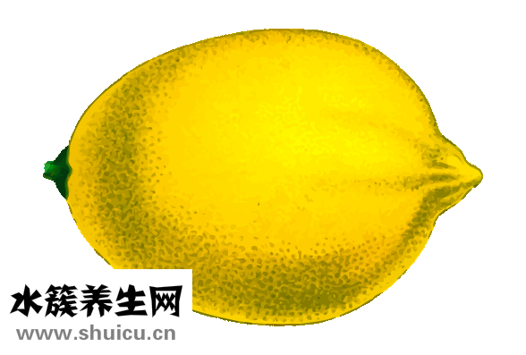 手肘黑怎么變白