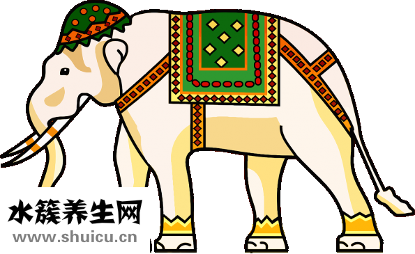 扁桃體結(jié)石清理