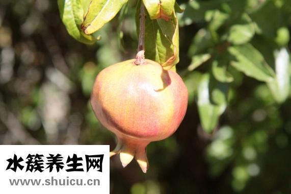 一碗白粥的熱量