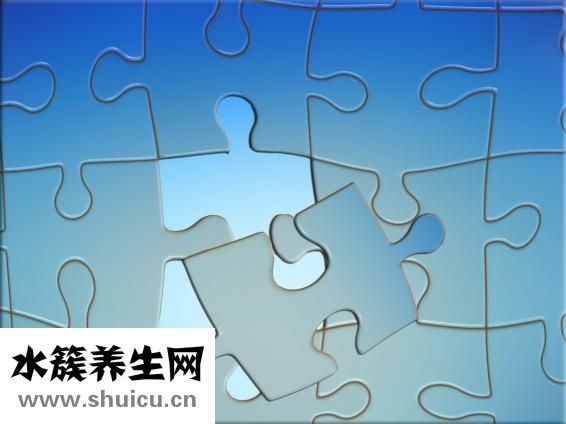 心臟血管分布圖