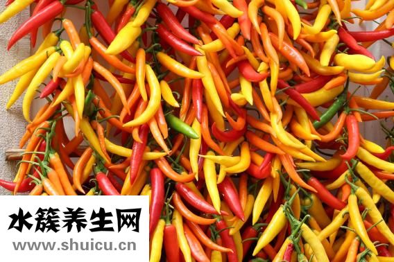 圓生菜怎么做好吃