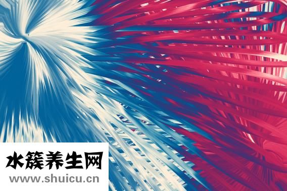 晚上喝豆漿好嗎