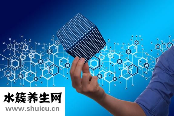 收復(fù)運(yùn)動(dòng)機(jī)