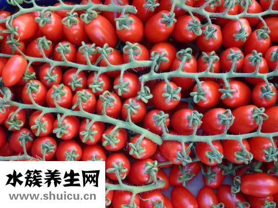 孕婦可以吃芝士嗎