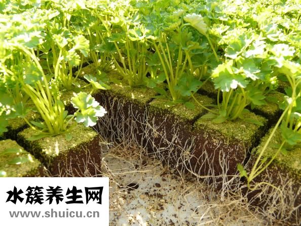 小黃魚怎么做好吃