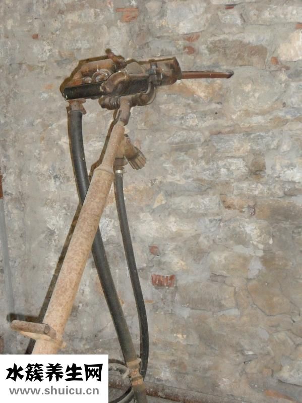 孕婦可以吃芝士嗎