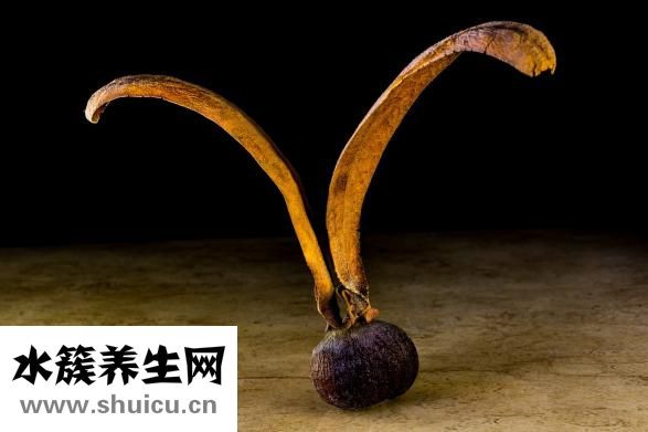 厭氧菌是什么菌