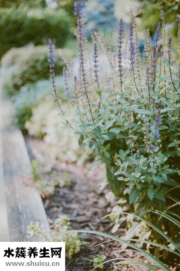 什么是內分泌失調