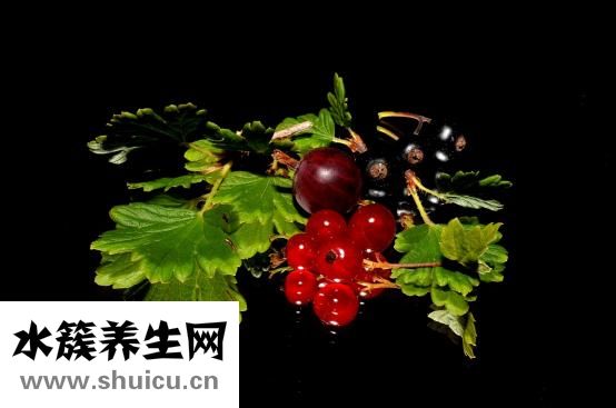 孕婦不能吃木耳嗎