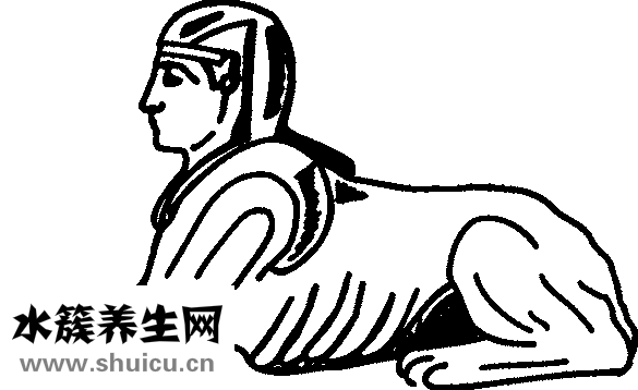 五靈脂是什么東西