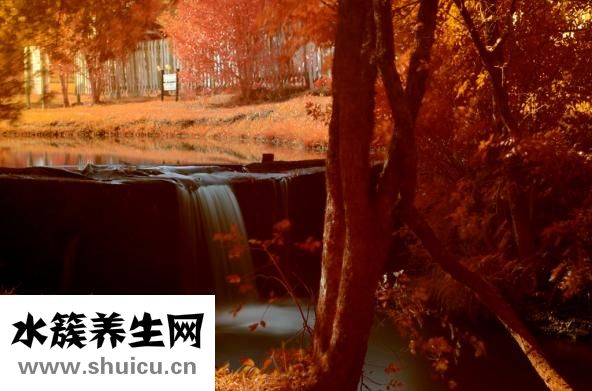 嗓子啞是什么原因