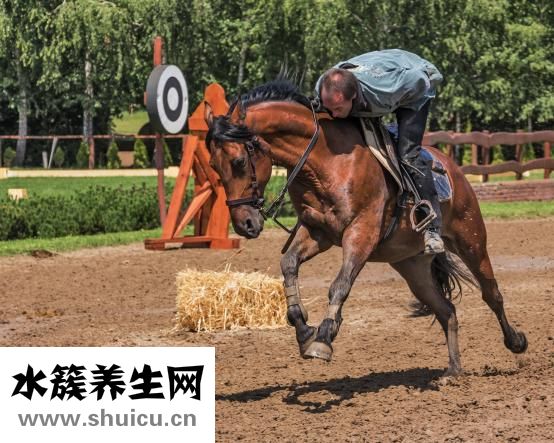 小腿酸痛是什么原因