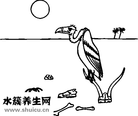 嬰兒肥臉型圖片