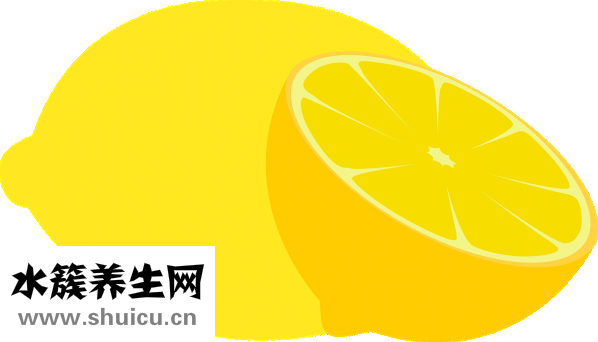 乙酸乙酯化學式