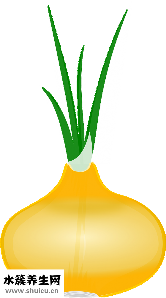 小根蒜的功效與作用