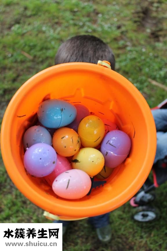 一個雞蛋的熱量