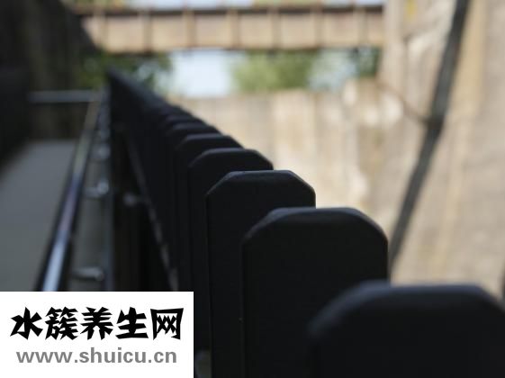 心火旺失眠怎么辦