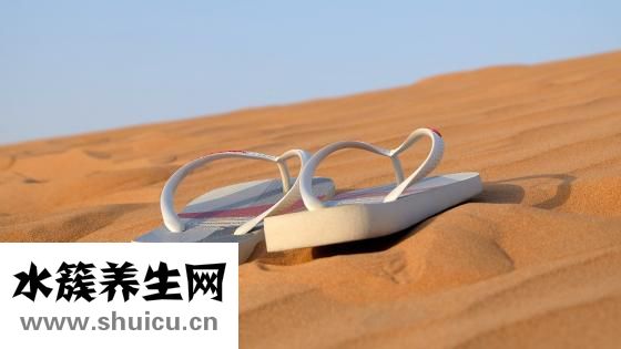 大腳骨手術多錢