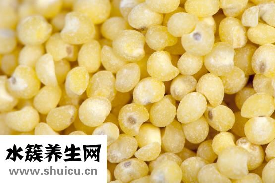 一籠小籠包的熱量