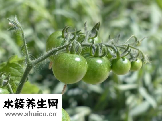 吃什么水果變白