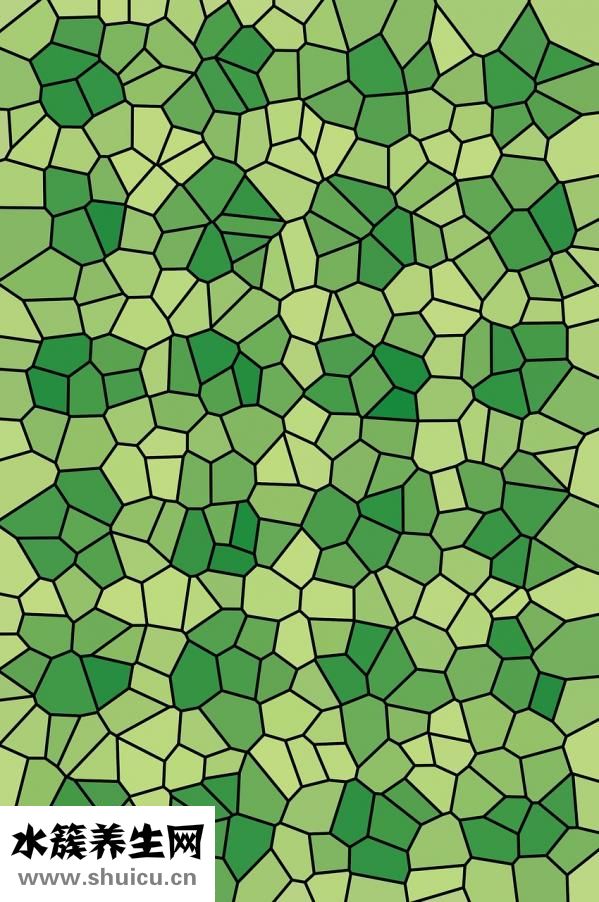 乙肝兩對半檢查