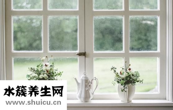 一個雞蛋的熱量