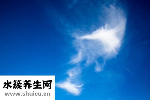 準分子近視手術