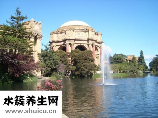 扇骨是哪個部位