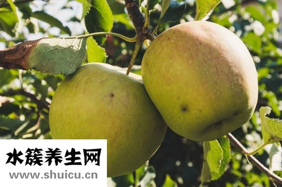 什么水果榨汁好喝