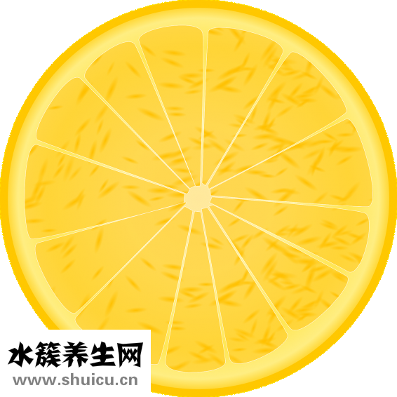 孕婦能吃哈密瓜