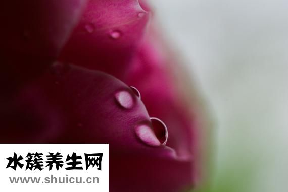 嗜酸細胞絕對值