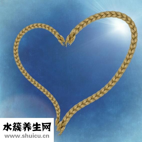 八大系統有哪些