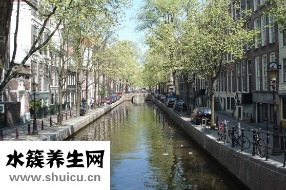 乳腺導(dǎo)管癌