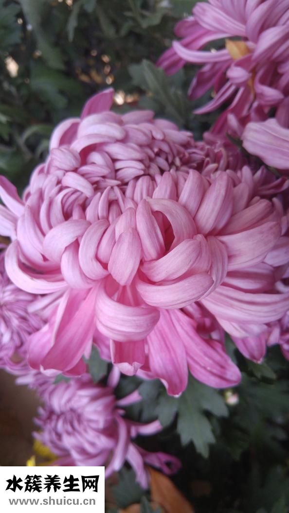 山東省千佛山醫院