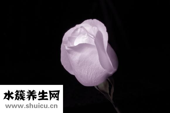 孕婦能吃冷面嗎