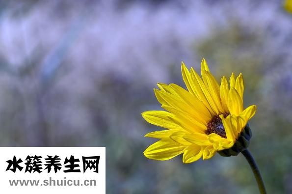 吸脂減肥手術(shù)