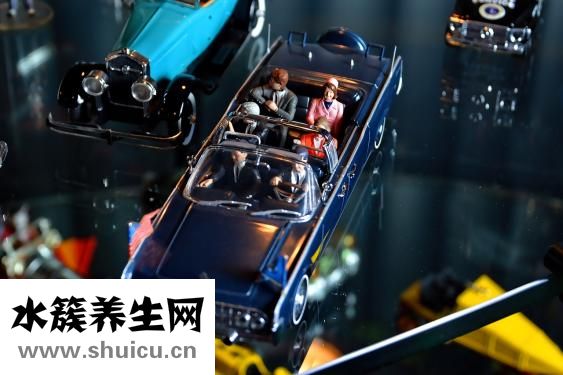 哈藥集團(tuán)制藥六廠